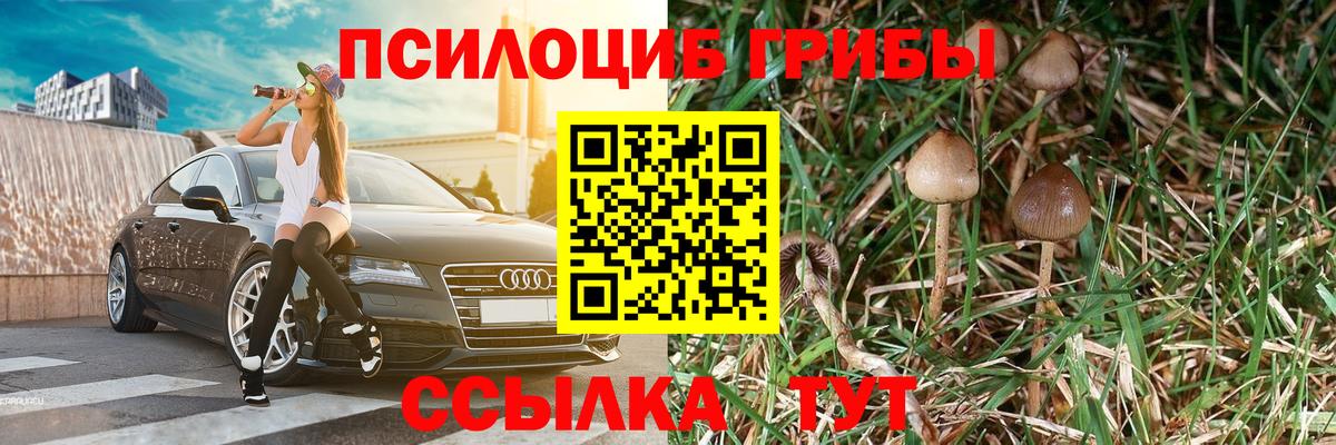 Галлюциногенные грибы ЛСД Бердск