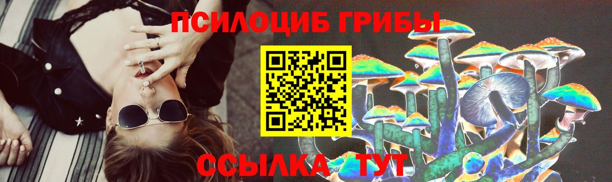 Псилоцибиновые грибы прущие грибы  Псилоцибиновые грибы GOLDEN TEACHER  Бердск  Вход с VPN 